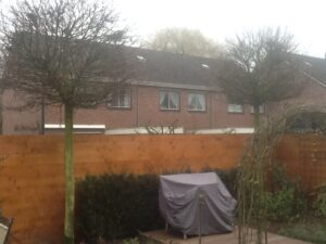 Bomen snoeien voor Bomen snoeien voor